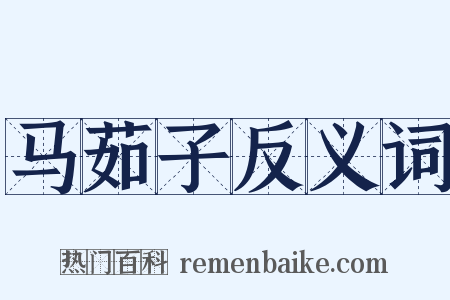 马茹子反义词是什么意思的图片